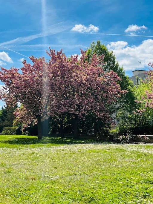 Studio Situe A 5 Min Du Chateau De Versailles Et Stationnement Gratuit Extérieur photo